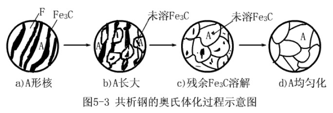 共析鋼奧氏體化的過(guò)程示意圖